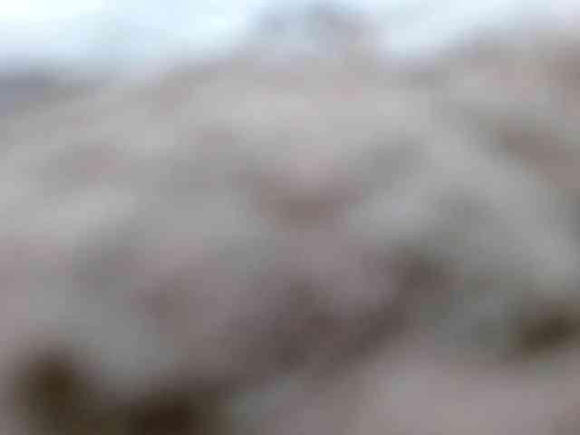 Lolaxx-x