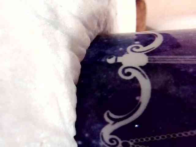 Lolaxx-x