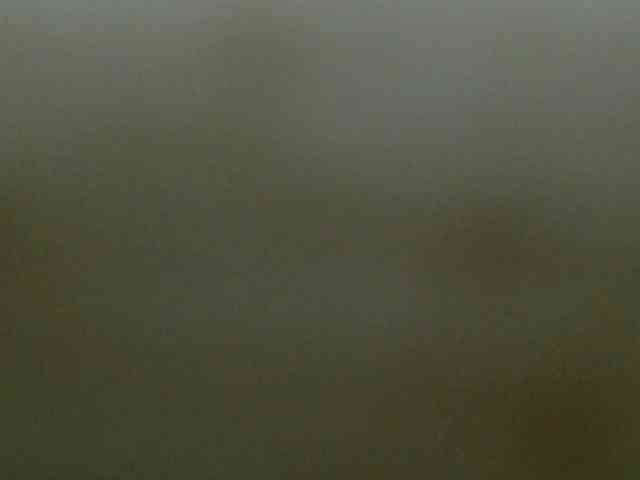 Maysia webcam