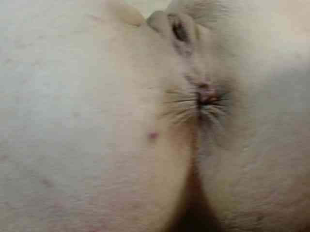 Maysia webcam