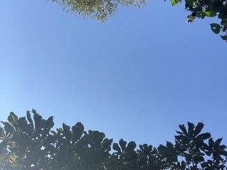 TRULIULIUSHA Porn Show