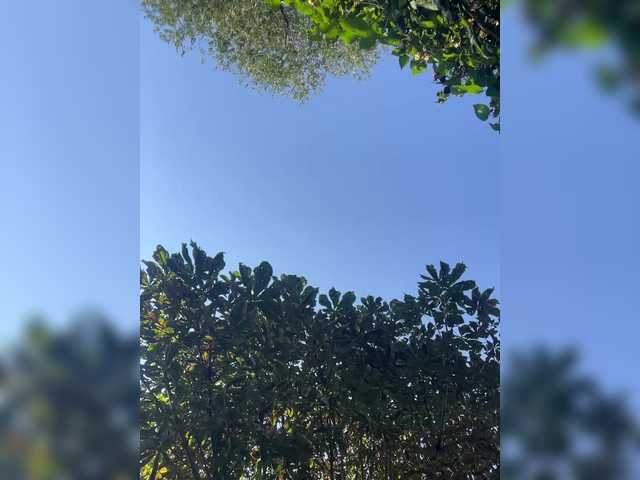 TRULIULIUSHA
