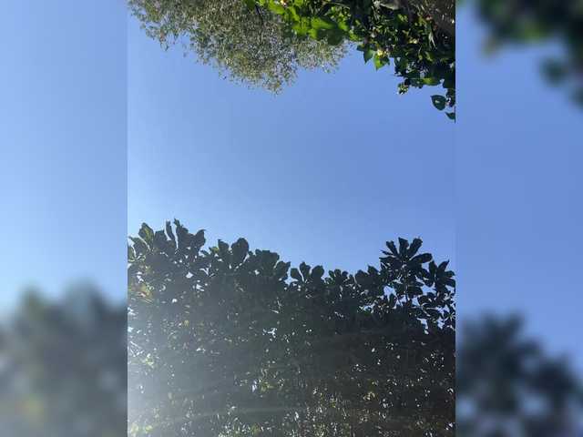 TRULIULIUSHA