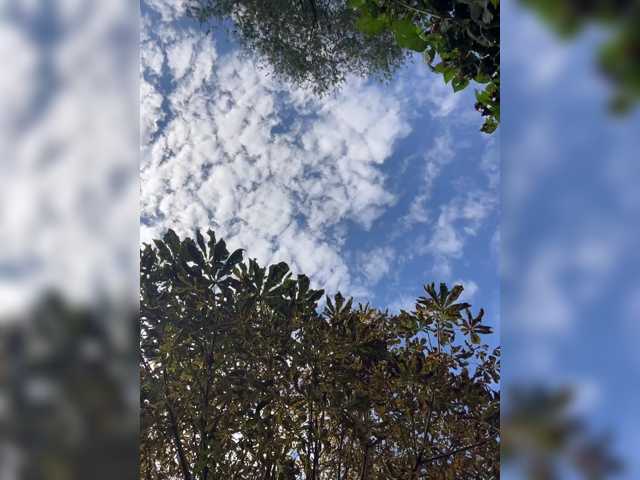 TRULIULIUSHA live cam preview