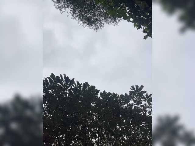 TRULIULIUSHA live cam preview