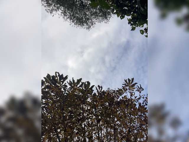 TRULIULIUSHA live cam preview