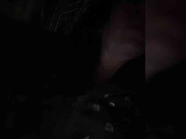 strip webcam KarolinaMilf