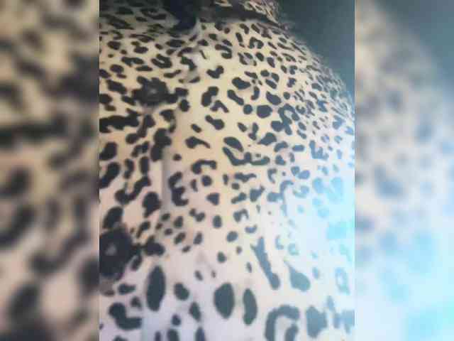Karolina_Milf webcam