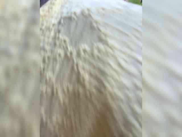 TRULIULIUSHA webcam