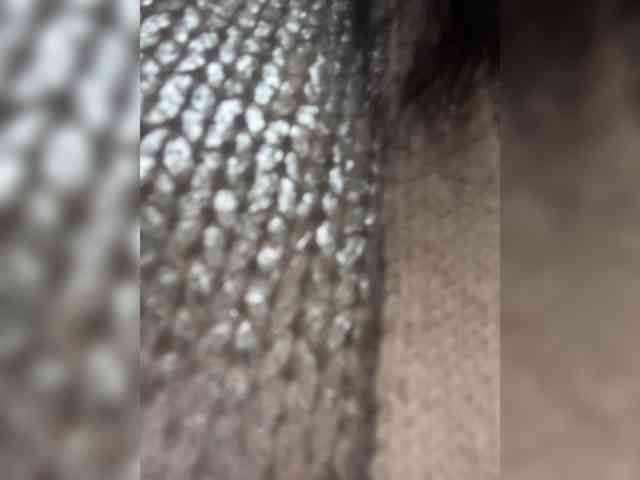 Karolina_Milf webcam