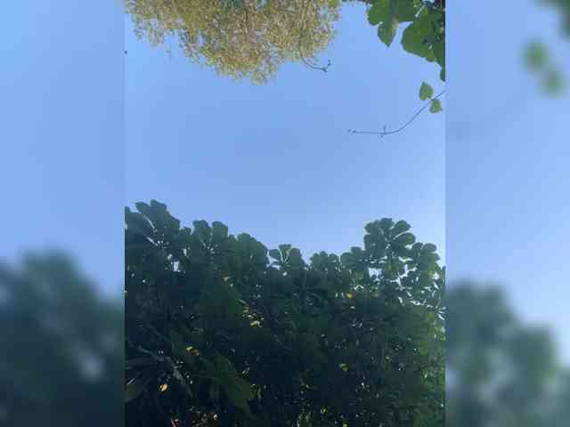 KarolinaMilf Sex Cam Show