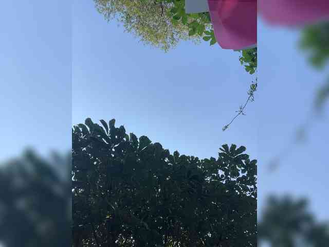 TRULIULIUSHA webcam