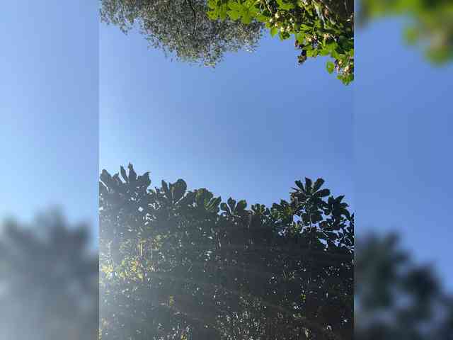 TRULIULIUSHA webcam