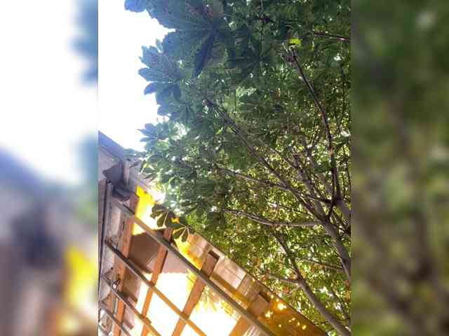 TRULIULIUSHA webcam