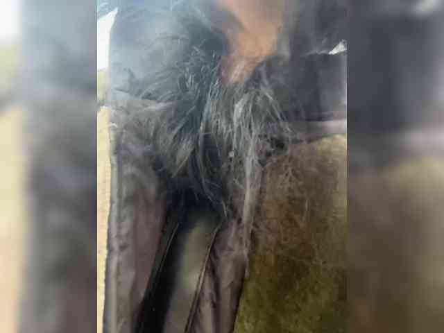 Karolina_Milf webcam