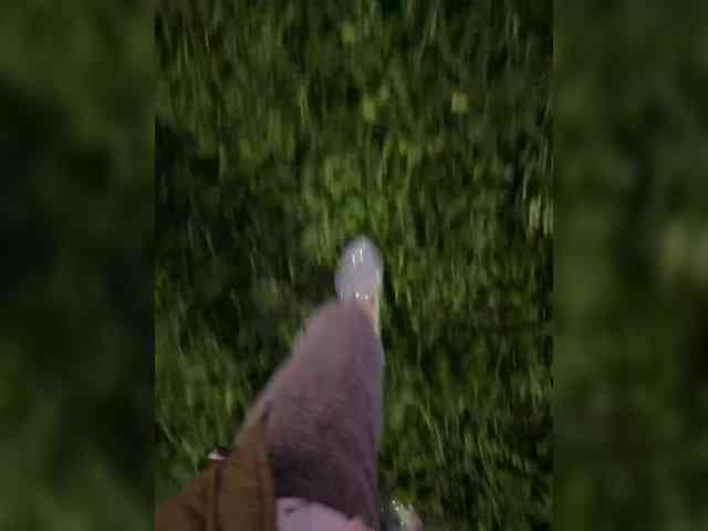 Model: TRULIULIUSHA