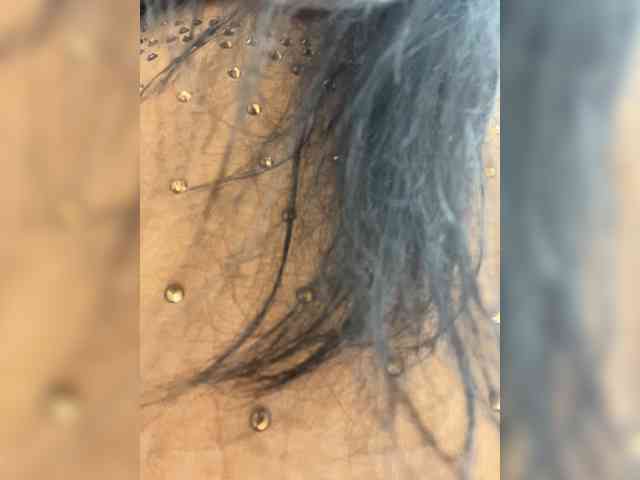 TRULIULIUSHA webcam