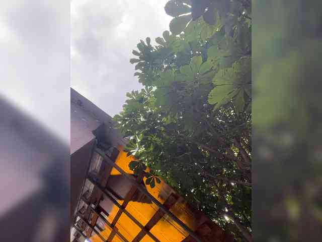 TRULIULIUSHA webcam