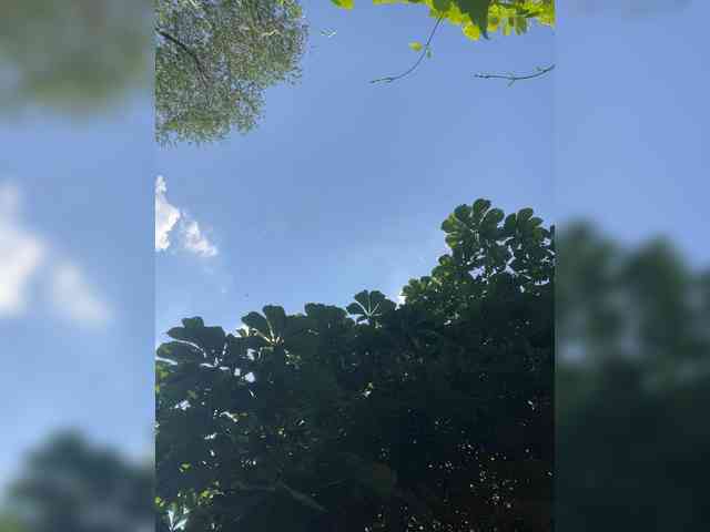 KarolinaMilf Sex Cam Show