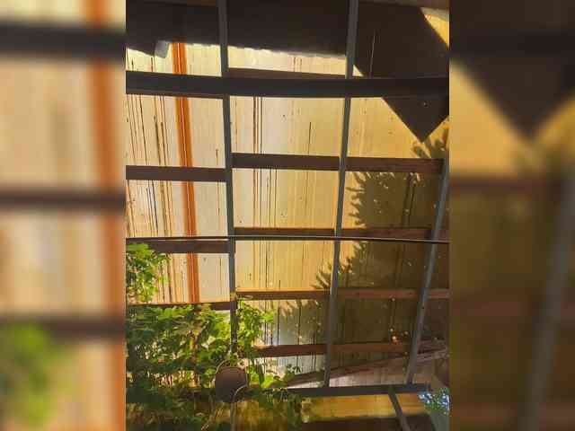 TRULIULIUSHA webcam