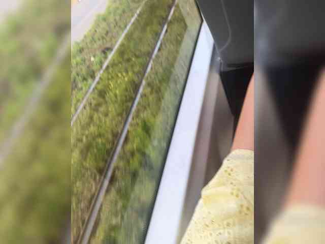 TRULIULIUSHA webcam