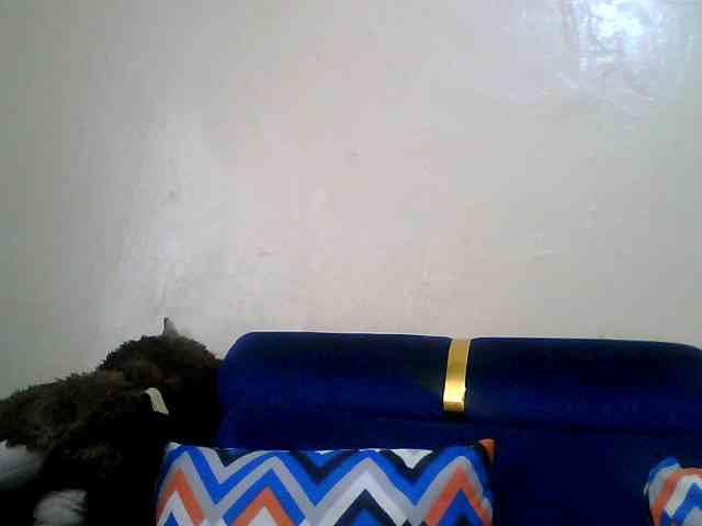 luvjojo webcam