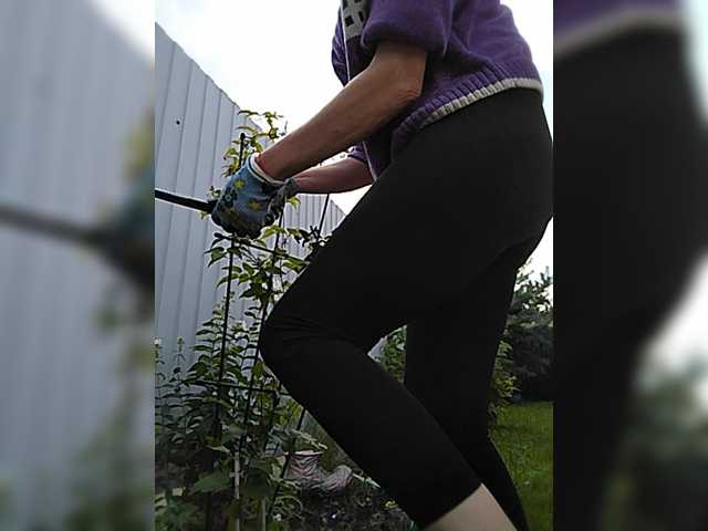 Lana503