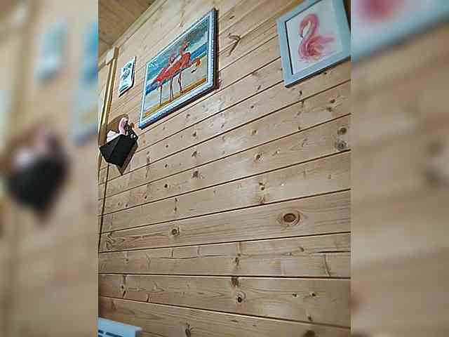 Модель: Lanusik88