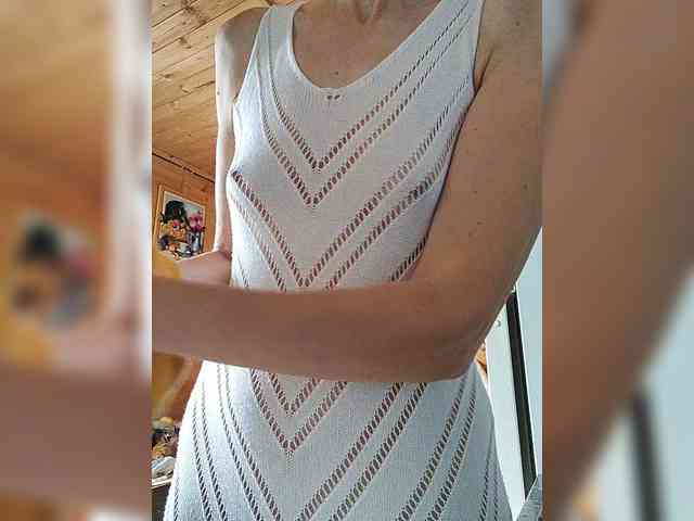 Модель: Lanusik88