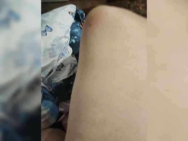 Para52 webcam