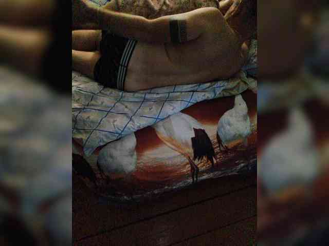 Para52 webcam