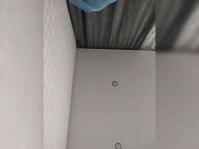 Para52 webcam