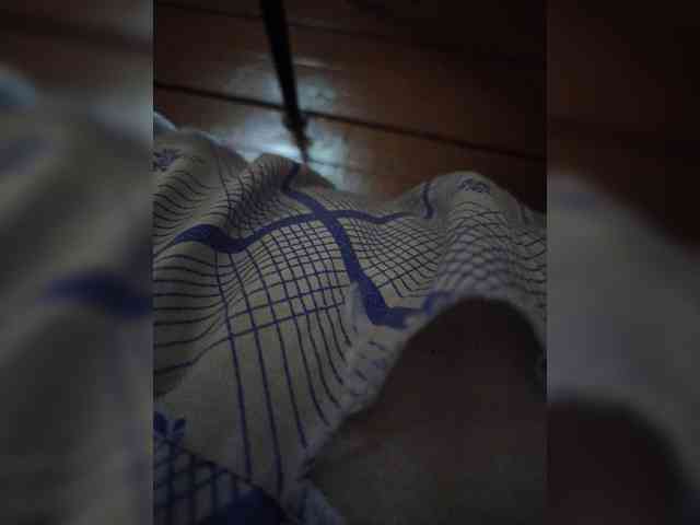 Para52 webcam