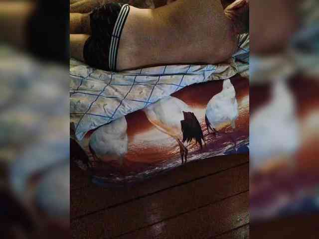 Para52 webcam