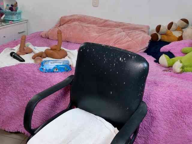 catalinahounn webcam