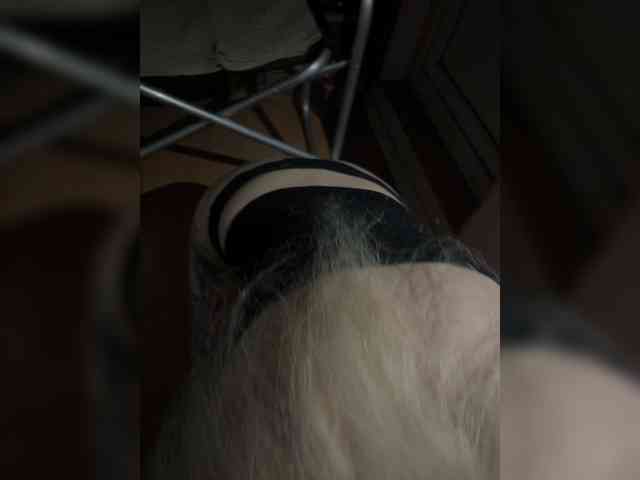 Zevs77-17 webcam