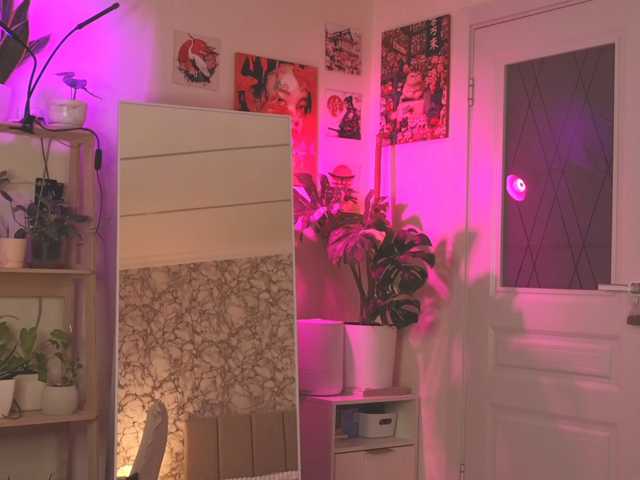 jane-suckss live cam on BongaCams