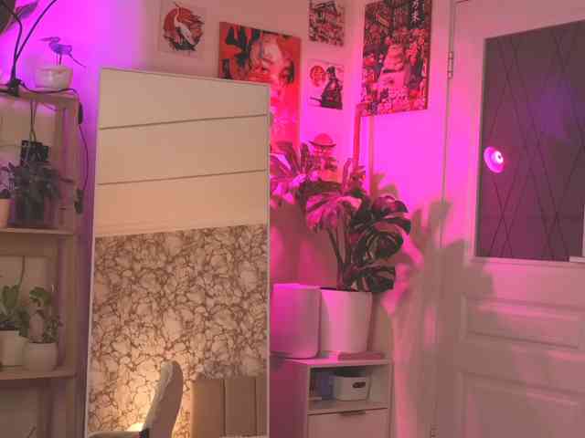 jane-suckss webcam