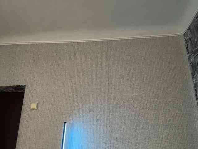 -EVO4KA- webcam