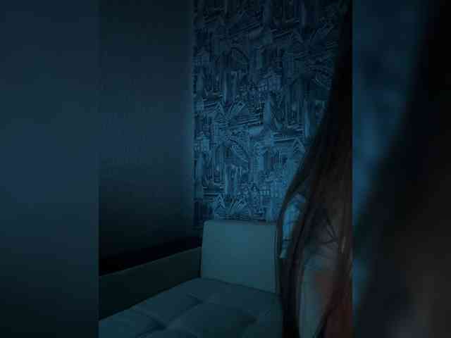 -EVO4KA- webcam