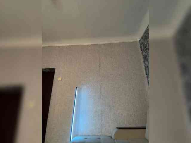 -EVO4KA- webcam