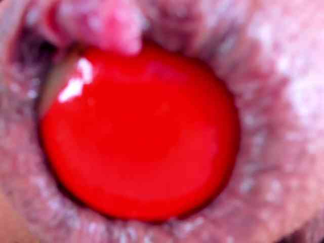 Modelo: NikkaHotX