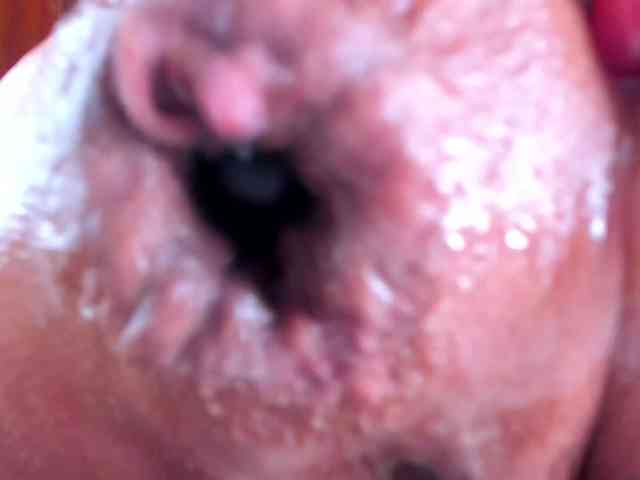 NikkaHotX webcam