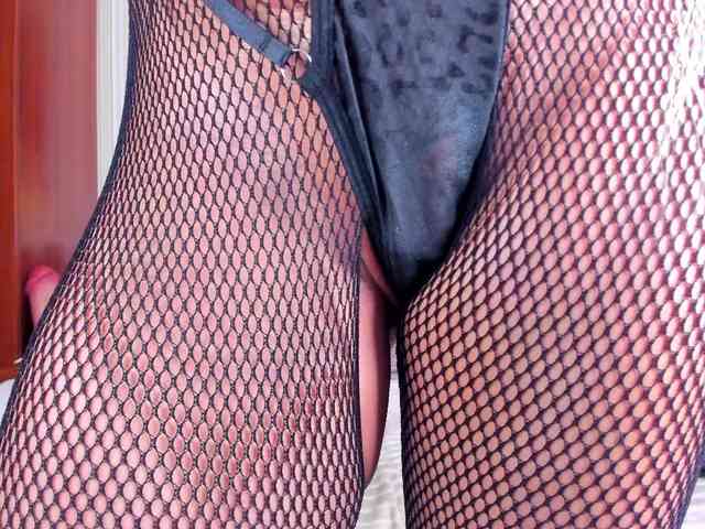 Modelo: NikkaHotX
