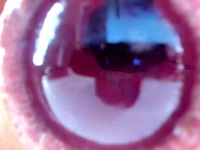 NikkaHotX webcam