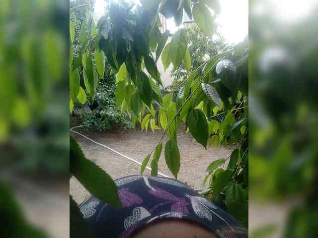 Konfetka80 webcam