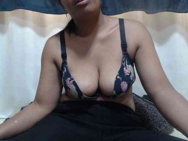 Anishey webcam