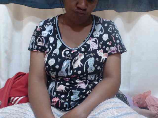 Anishey webcam
