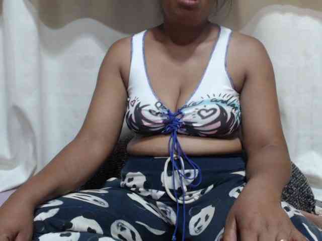 Anishey webcam