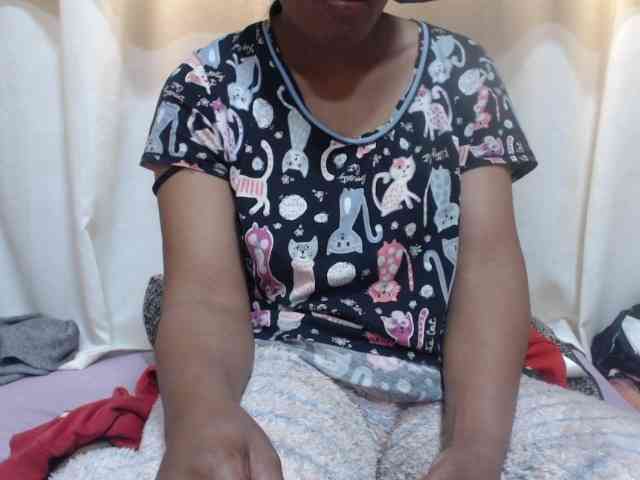 Anishey webcam